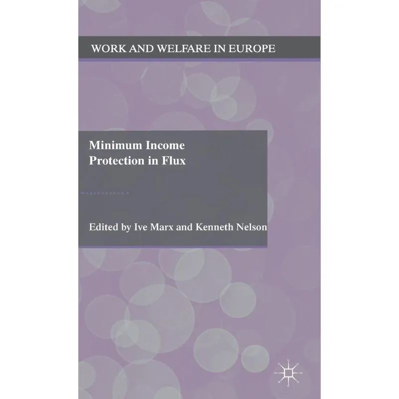 Minimum Income Protection in Flux