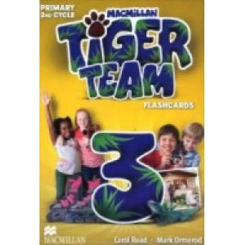 Tiger Team 3 Flashcards