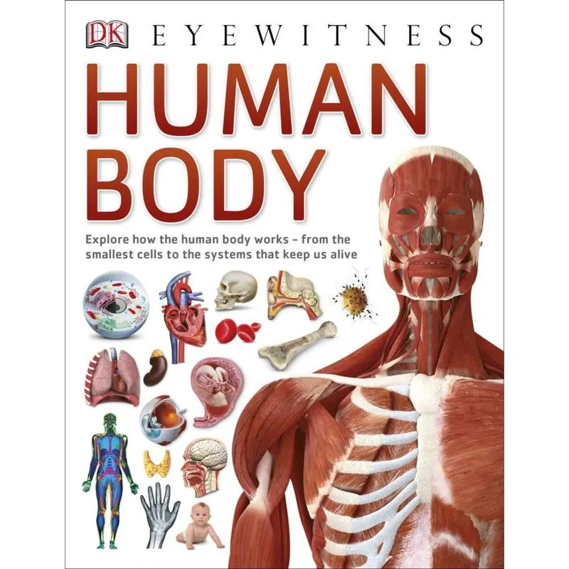 Human Body