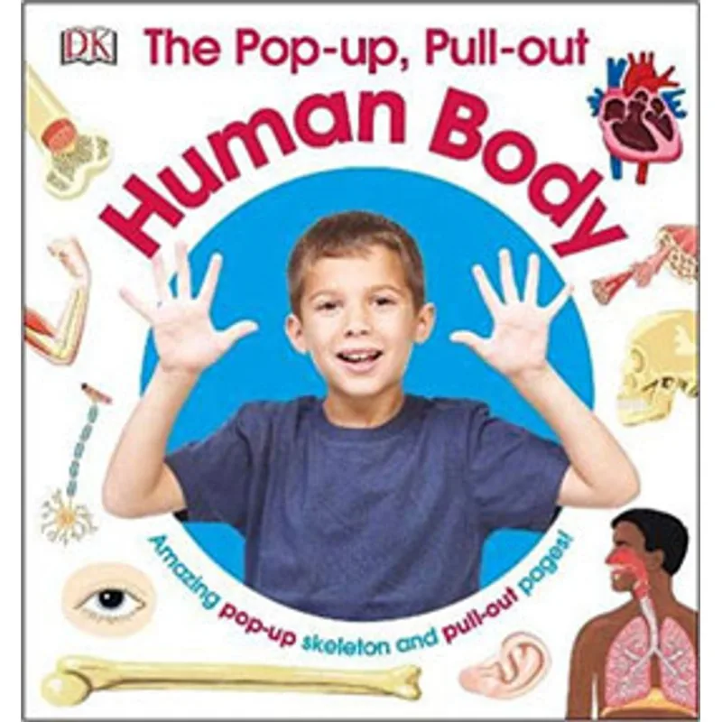 THE POP-UP, PULL-OUT HUMAN BODY
