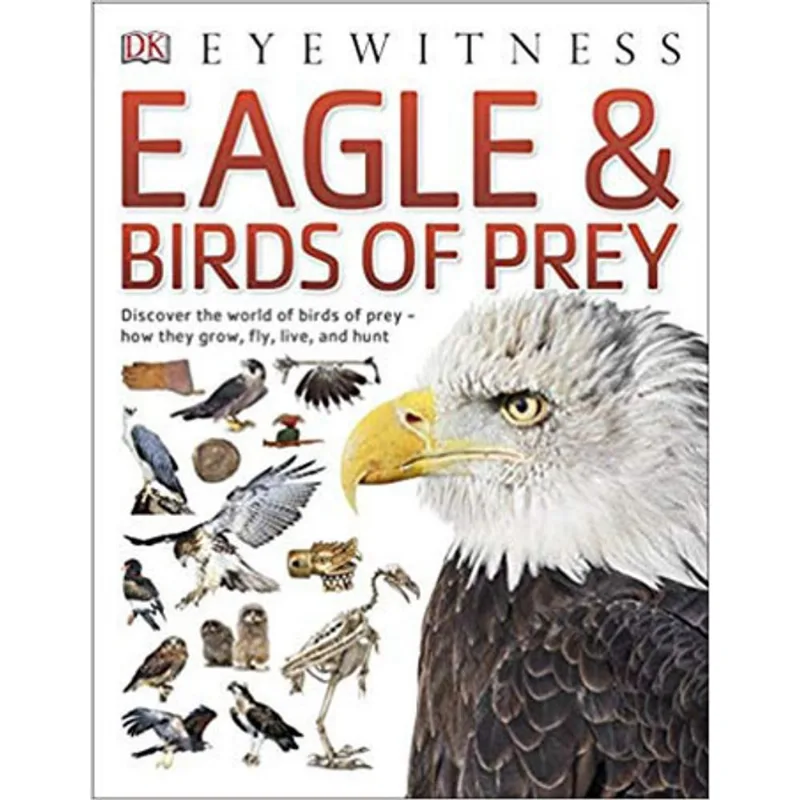EAGLE & BIRDS OF PREY