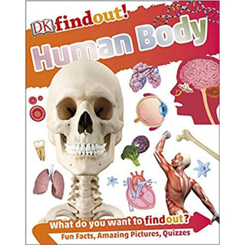 DKFINDOUT! HUMAN BODY
