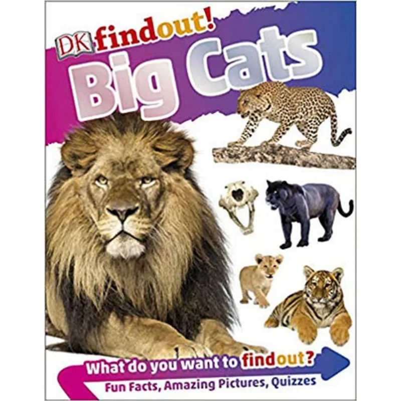 DKFINDOUT! BIG CATS