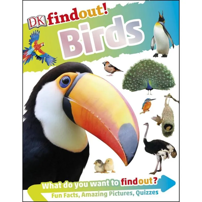 Dkfindout! Birds