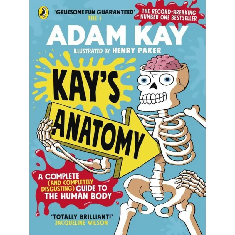 KAY'S ANATOMY