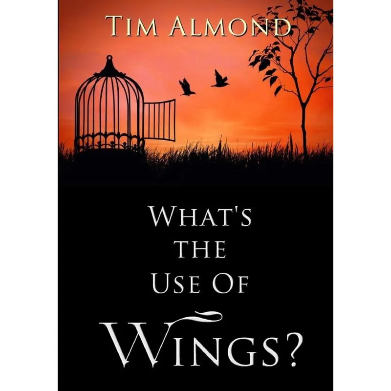 Whats The Use Of Wings?