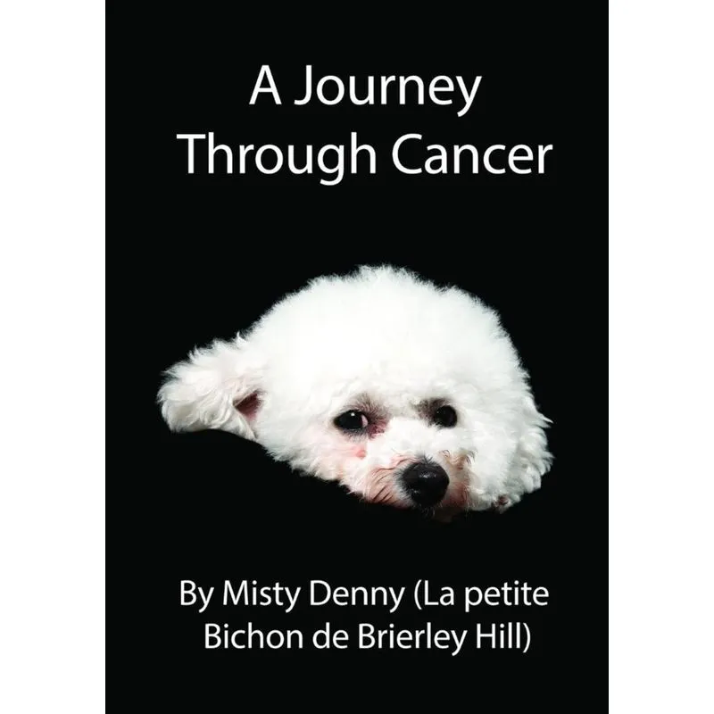 A Journey Through Cancer