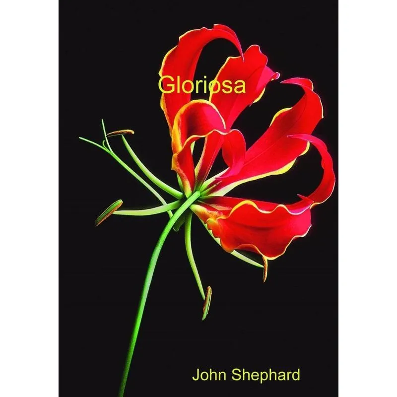 Gloriosa