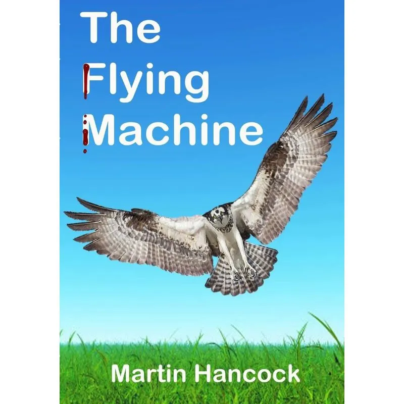 The Flying Machine
