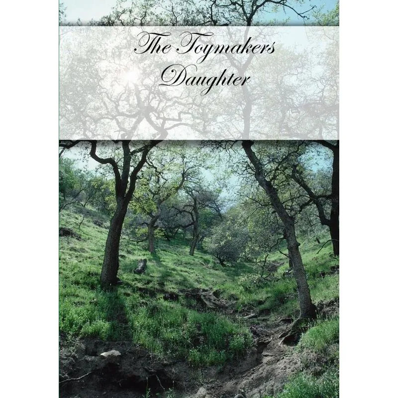 The Toymakers Daughter