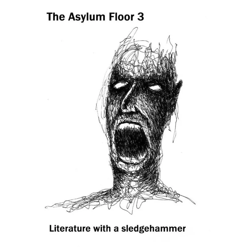 The Asylum Floor 3