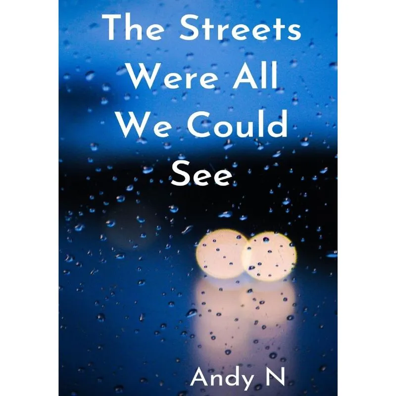 the streets were all we could see