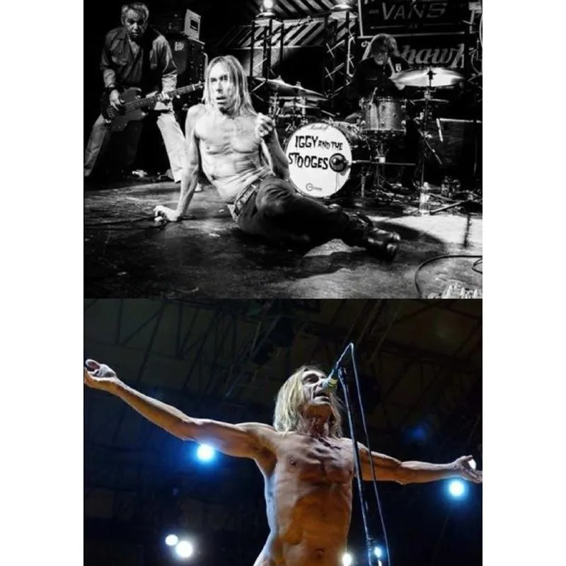 Iggy and the Stooges