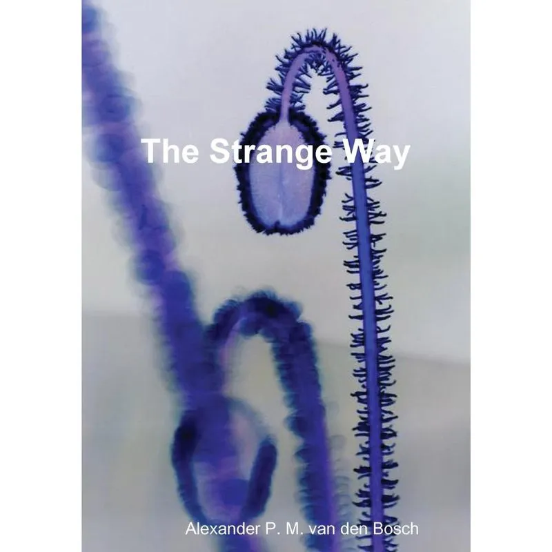 The Strange Way