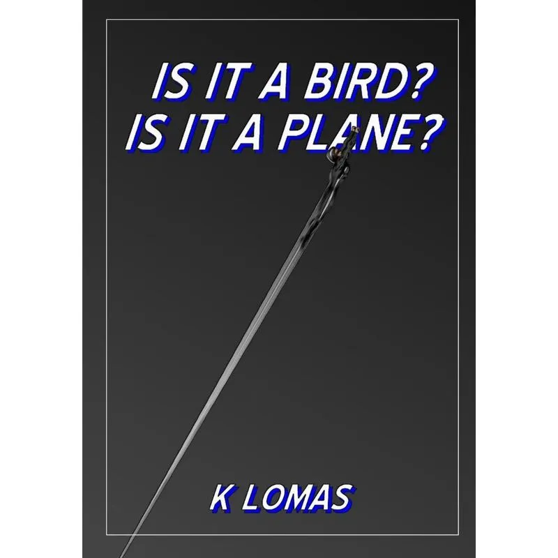 IS IT A BIRD? IS IT A PLANE?