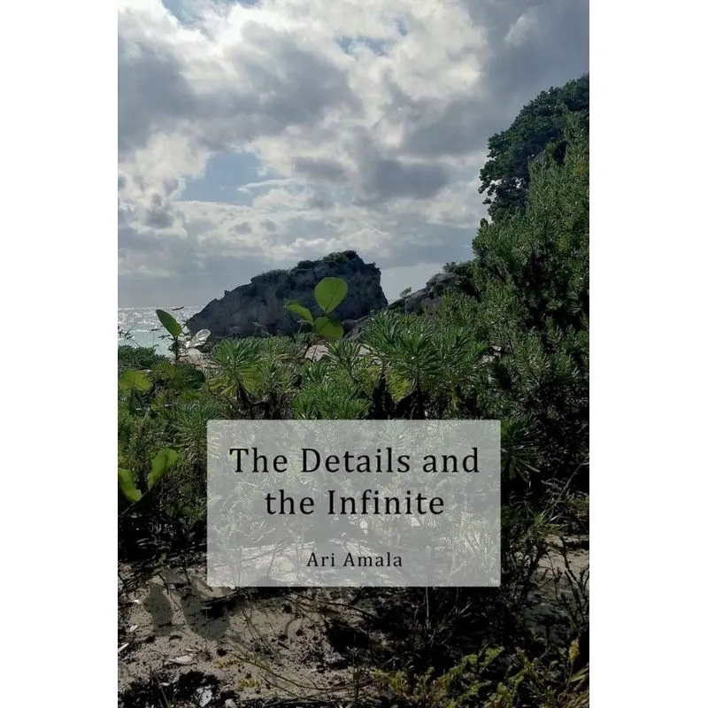 The Details and the Infinite