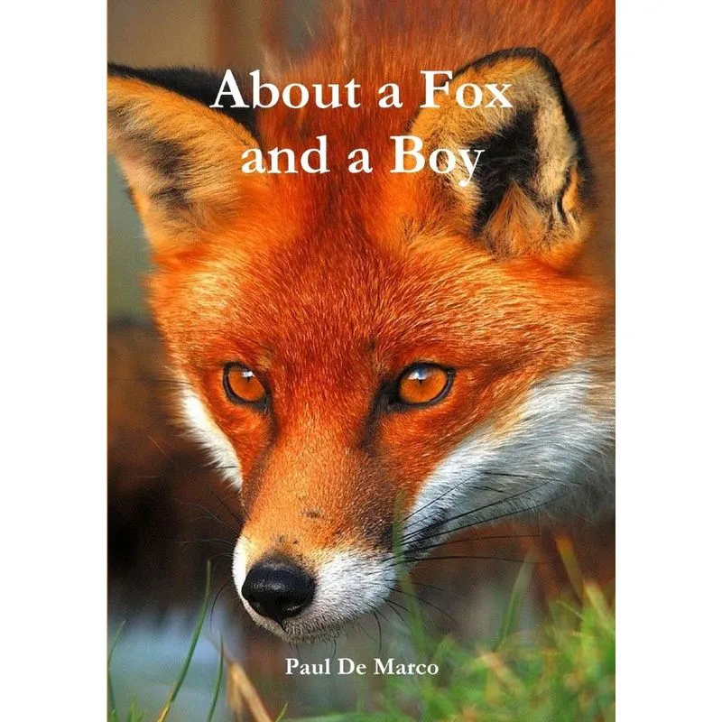 About a Fox and a Boy