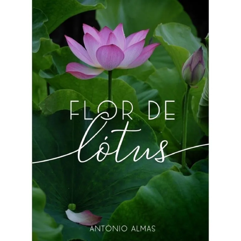 Flor de Lótus