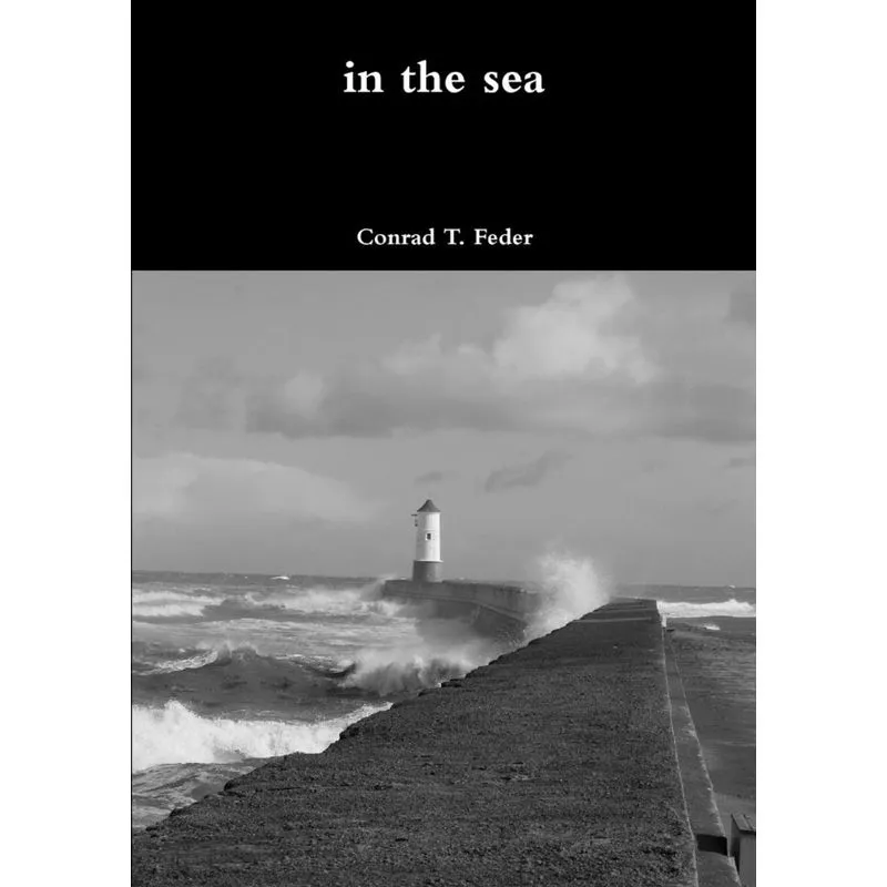 in the sea