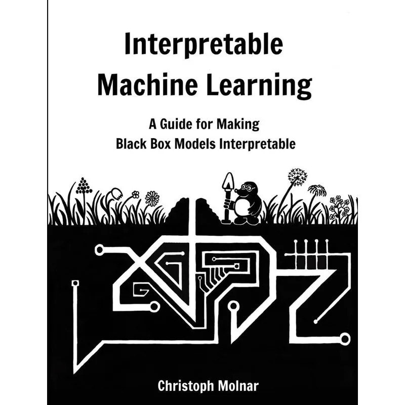 Interpretable Machine Learning