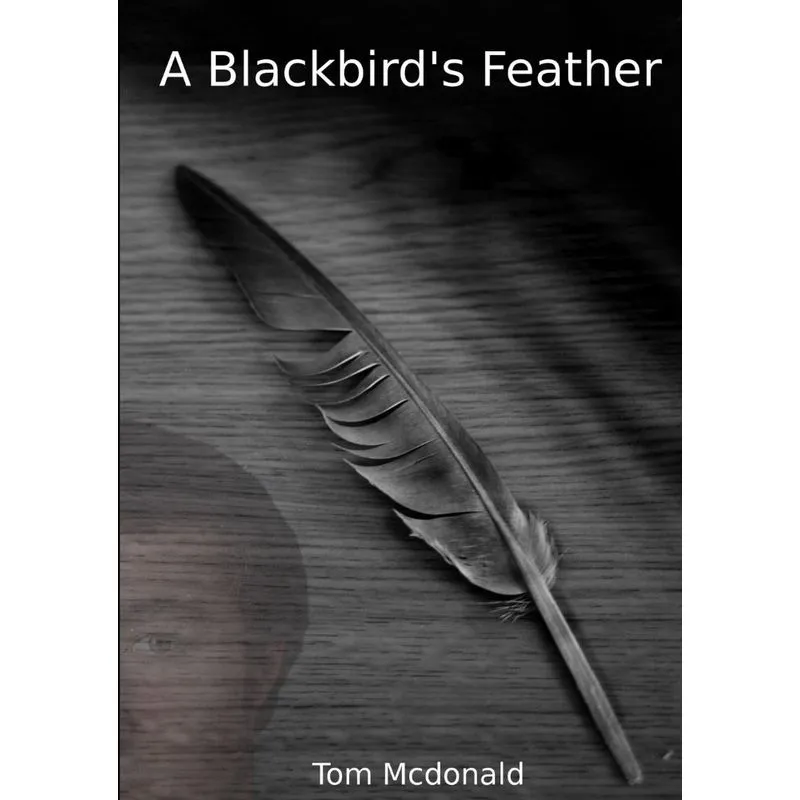 A Blackbirds Feather
