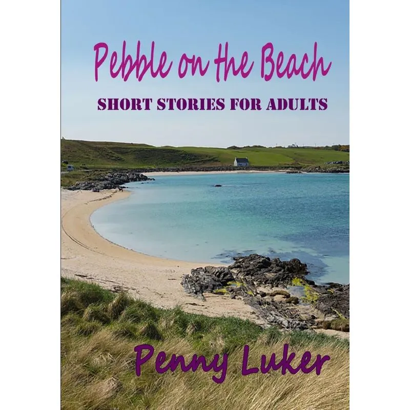 Pebble on the Beach