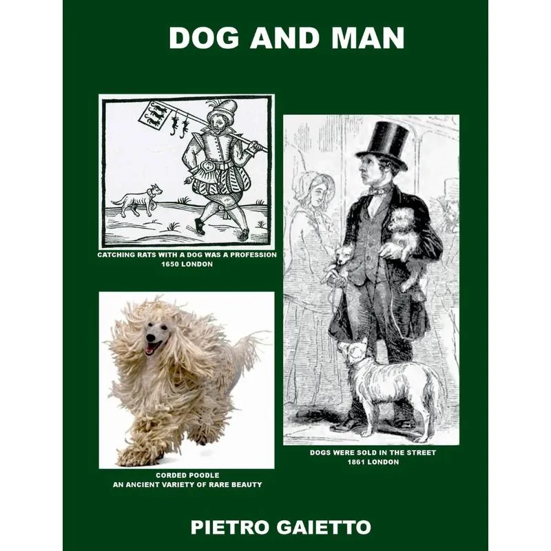 Dog and Man