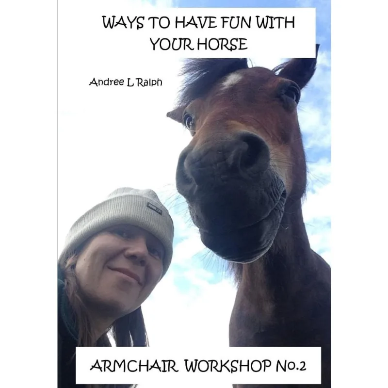 Ways To Have Fun With Your Horse - Armchair Workshop No.2