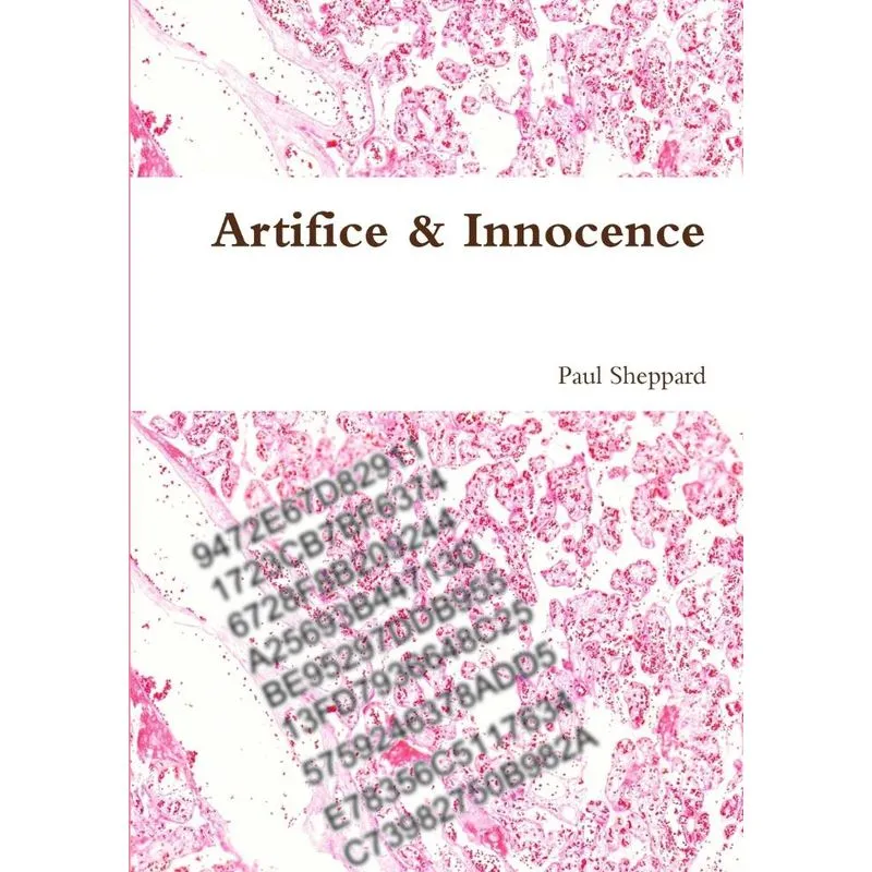 Artifice & Innocence