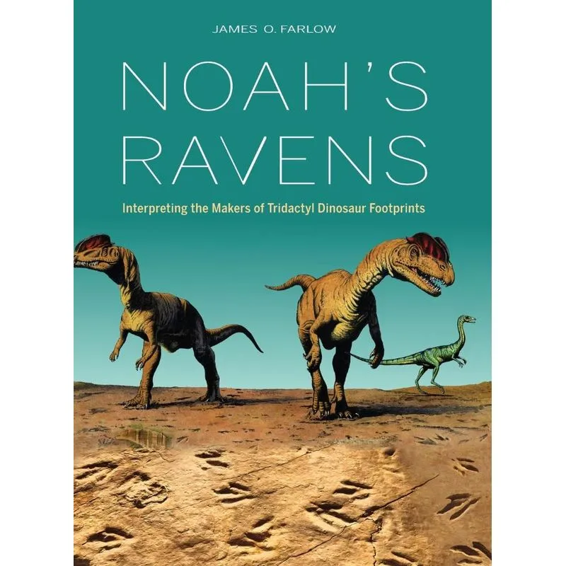 Noahs Ravens
