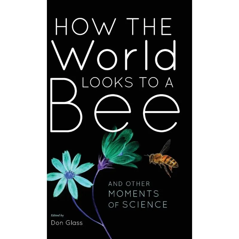 How the World Looks to a Bee