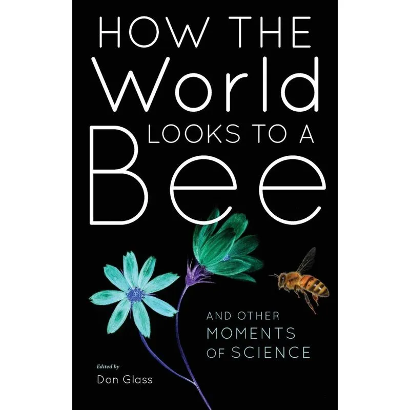 How the World Looks to a Bee