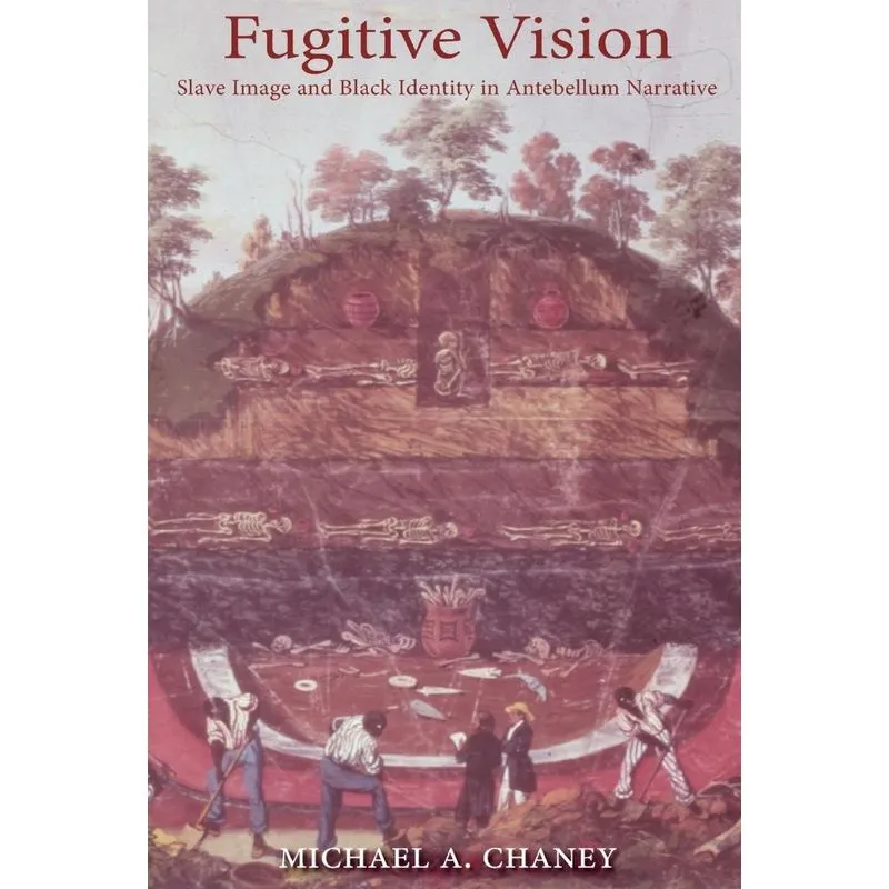 Fugitive Vision
