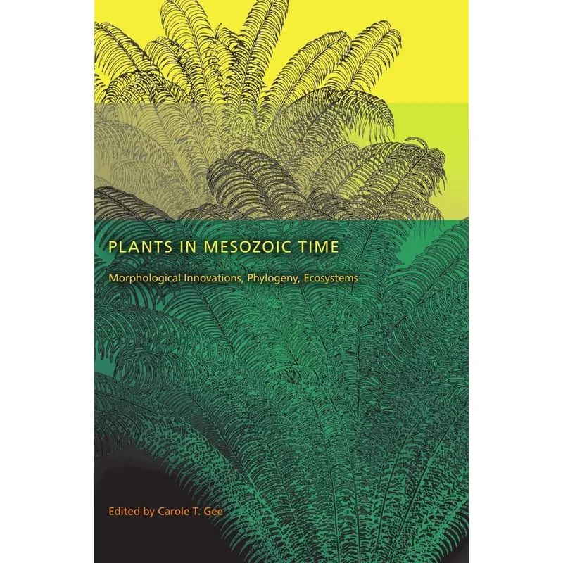Plants in Mesozoic Time