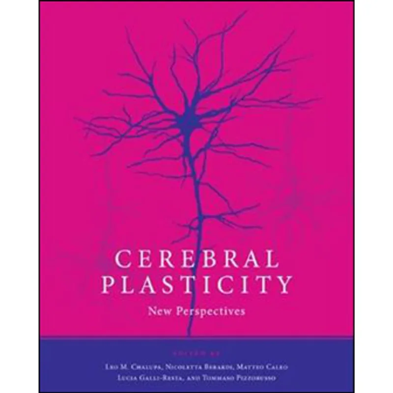 CEREBRAL PLASTICITY - NEW PERSPECTIVES
