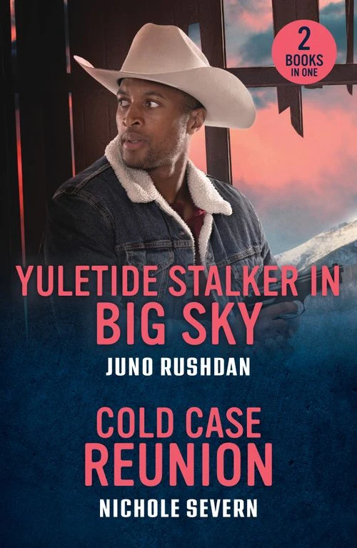 Yuletide Stalker In Big Sky / Cold Case Reunion: Yuletide Stalker in Big Sky (Ironside Protection Services) / Cold Case Reunion (Cold Hollow Investigations) (Mills & Boon Heroes) Paperback