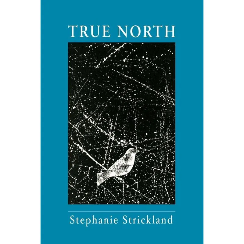 True North