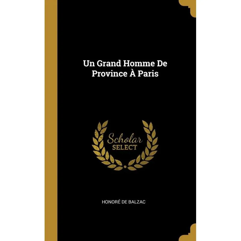 Un Grand Homme De Province À Paris