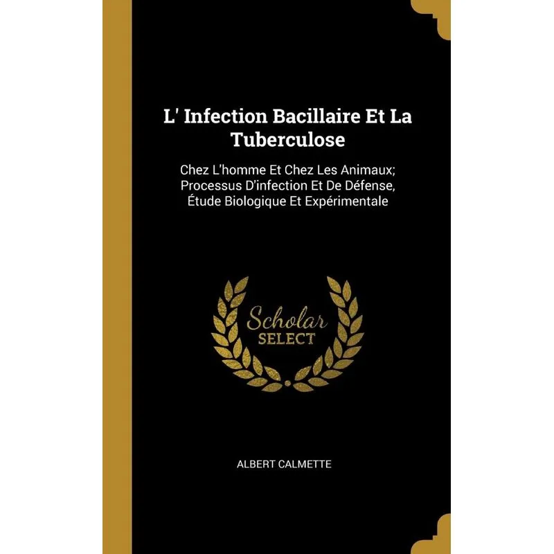 L Infection Bacillaire Et La Tuberculose