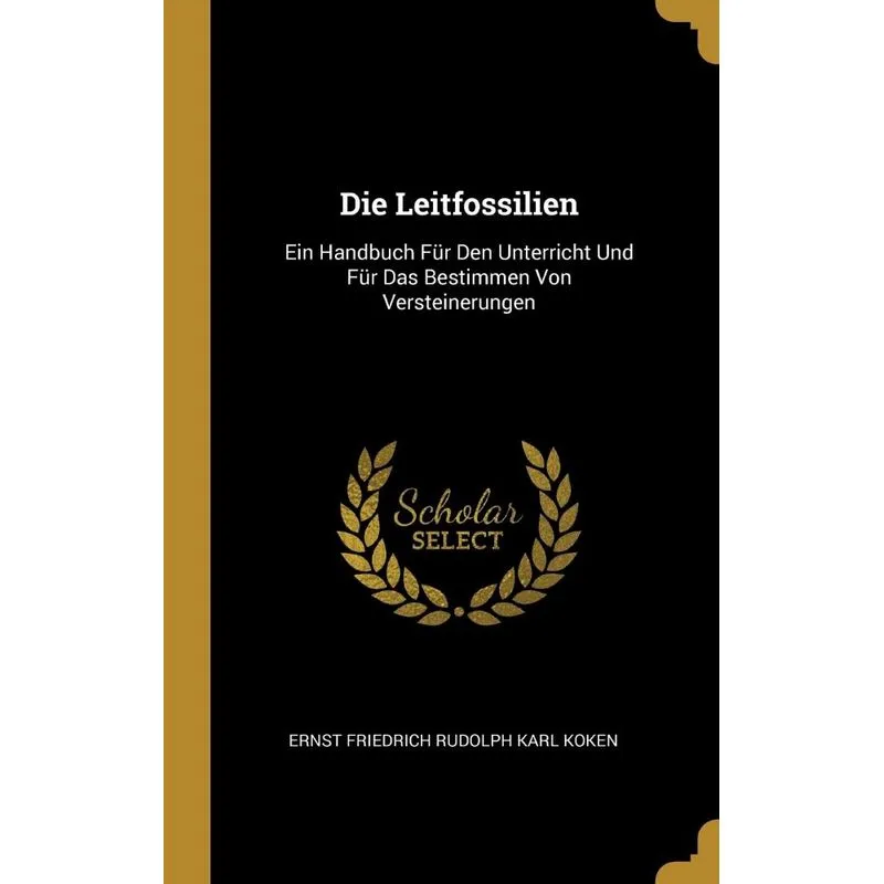 Die Leitfossilien