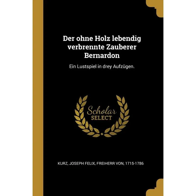Der ohne Holz lebendig verbrennte Zauberer Bernardon