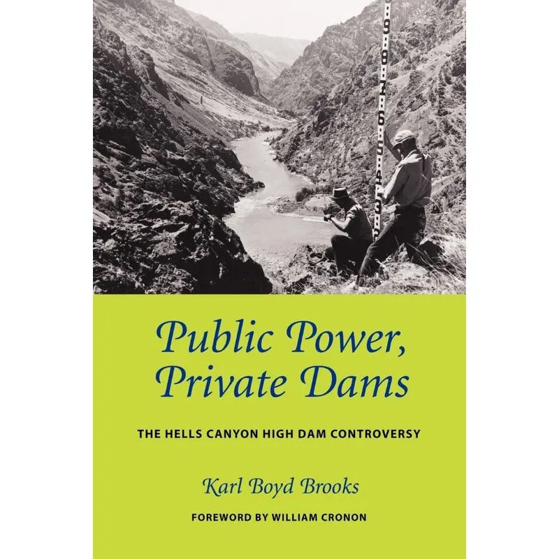 Public Power, Private Dams