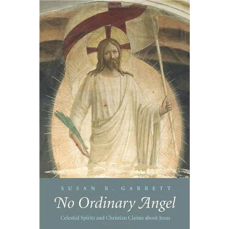 No Ordinary Angel