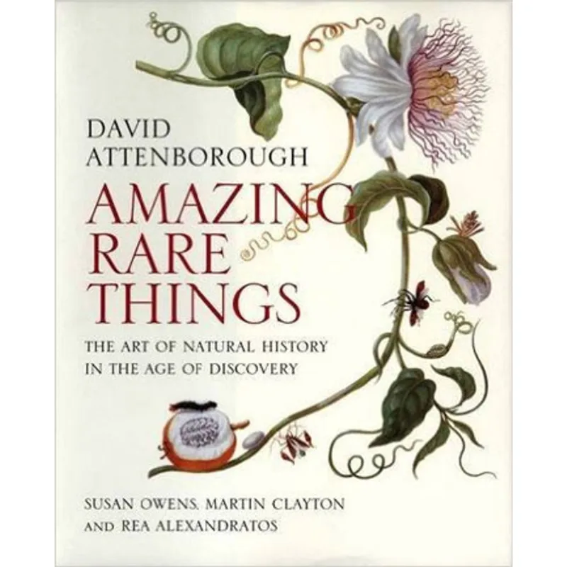 AMAZING RARE THINGS