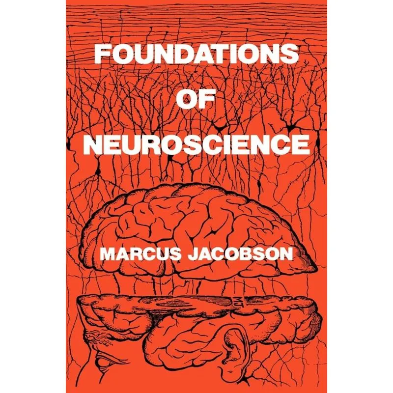 Foundations of Neuroscience