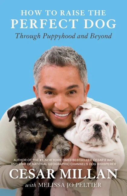 How to Raise the Perfect Dog STANDARD
