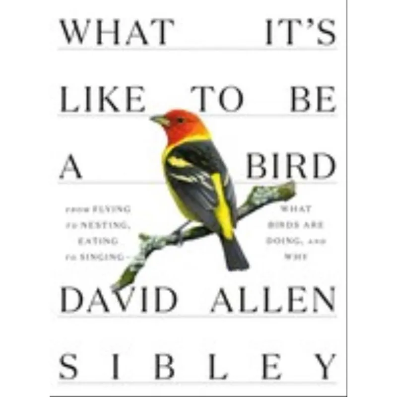 WHAT IT'S LIKE TO BE A BIRD