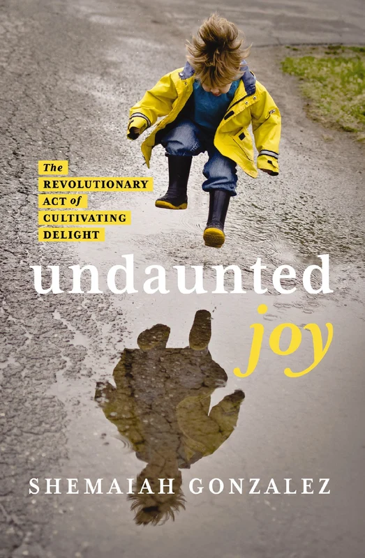 Undaunted Joy: The Revolutionary Act of Cultivating Delight Paperback