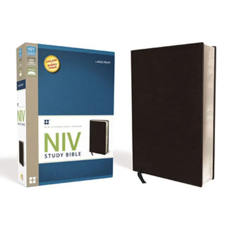 STUDY BIBLE-NIV-LARGE PRINT