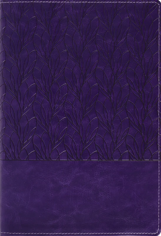 Amplified Holy Bible, Large Print, Leathersoft, Purple: Captures the Full Meaning Behind the Original Greek and Hebrew Hardback